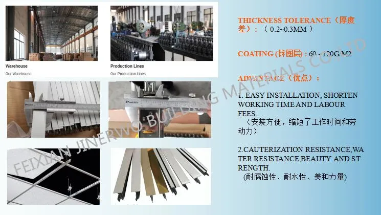 Suspended Ceiling T Bar/Fut T Grid /Iron Net/Paint Keel for PVC Gypsum Board